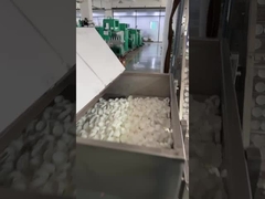 High Speed HDPE/PP Bottle Cap Offset Printing Machine