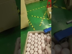 screen printing and bagging machine