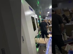 Fully servo screen printing and hot stamping machine