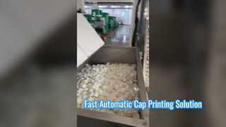 Fully Automatic Caps Printing Machine